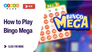 How to Play Bingo Mega
