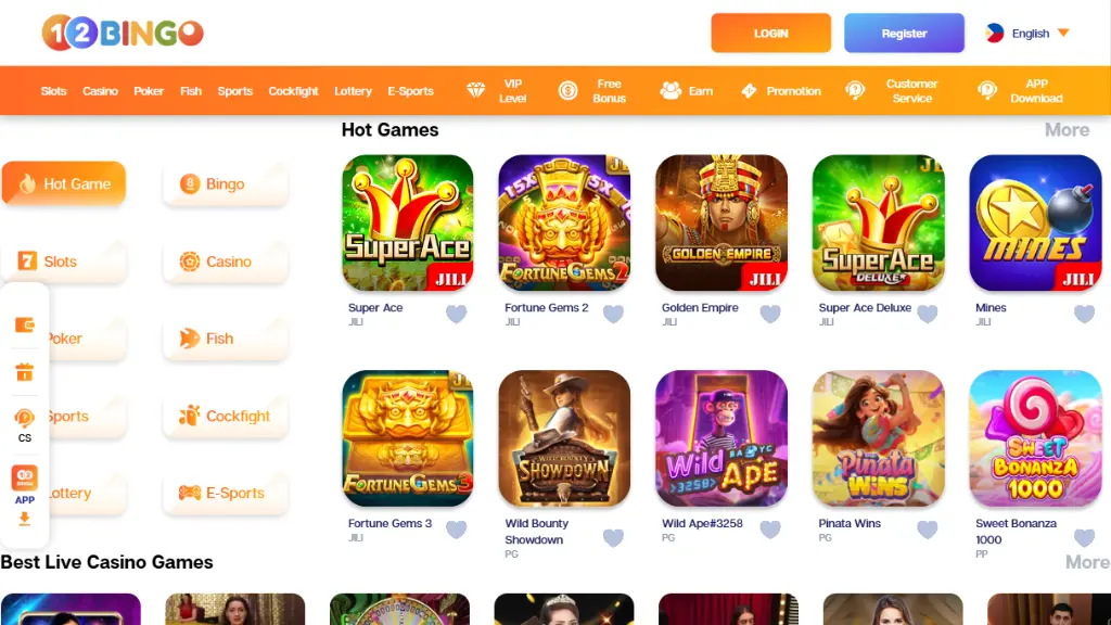 12 Bingo Website Screenshot
