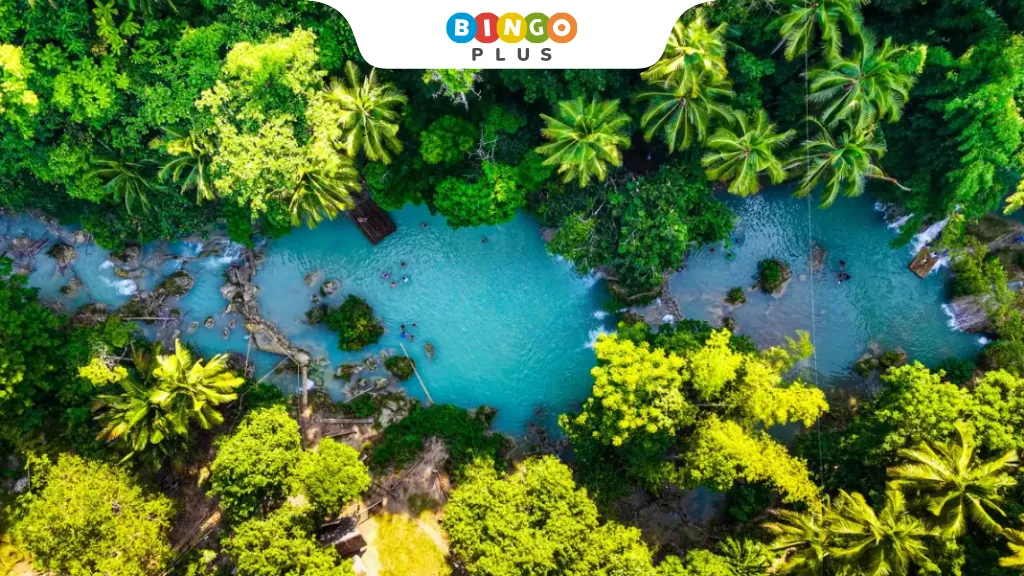 Aerial view of the magnificent scenery of Siquijor Island
