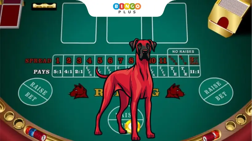 Red-Dog Online Casino Table Game