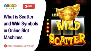 What is Scatter and Wild Symbols in Online Slot Machines