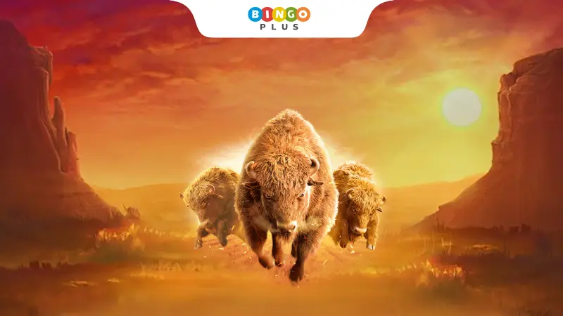 A buffalo-themed slot machine game set against an African savanna, wilderness, and sunset backdrop.