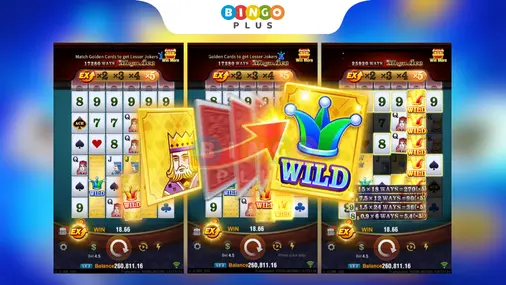 Mega Ace Game Screenshot