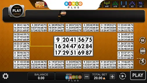 Select The Number of Bingo Cards