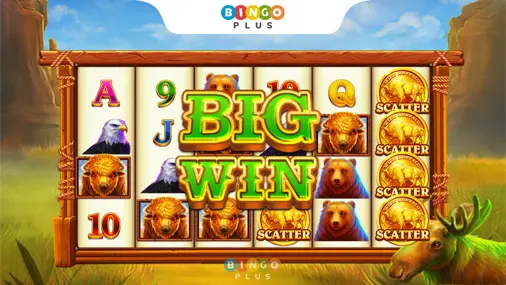 Charge Buffalo Big Win