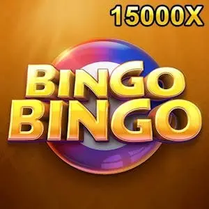 Bingo Bingo