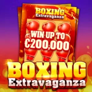 Boxing Extravaganza