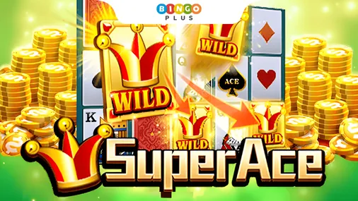 Super Ace Game Screenshot 1